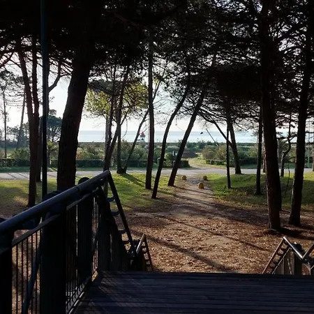 Golden Riviera No 7 * 리그나노 사비아도로